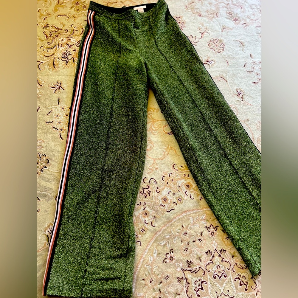 H & M runway collection sparkly sporty style pant